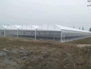 玻璃溫室的優(yōu)點有哪些？