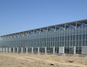 不懂這幾點，不要盲目投資玻璃溫室生態(tài)餐廳！