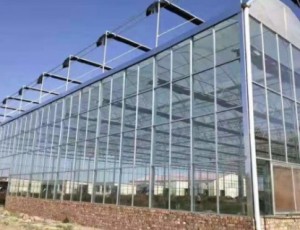 溫室大棚材料怎樣進(jìn)行選擇