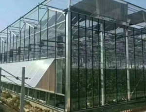 智能溫室大棚的發(fā)展趨勢(shì)