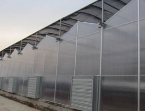 智能溫室大棚內(nèi)的噴灌系統(tǒng)如何規(guī)劃