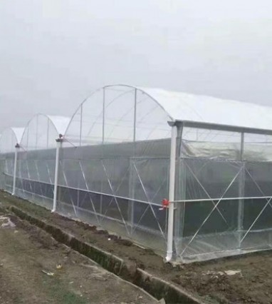 連棟薄膜溫室的結構優點分析