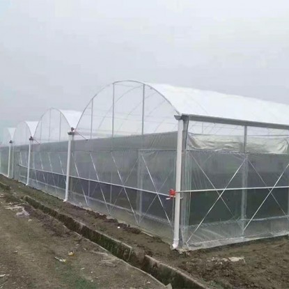 薄膜連棟溫室