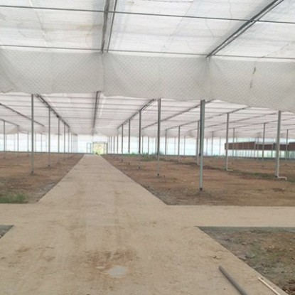 溫室內保溫系統(tǒng)