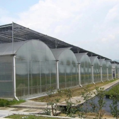 連棟薄膜溫室